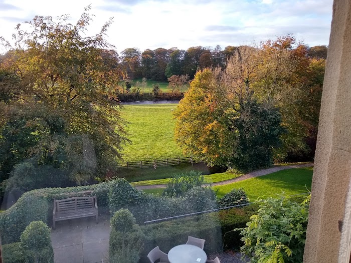 1771366485 390 photo