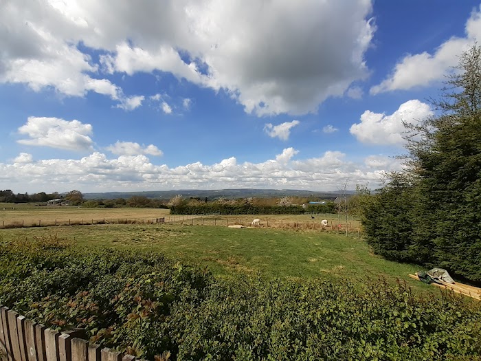 1771366867 694 photo