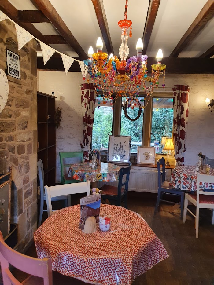 Potters Barn Cafe 2 1771863877 420 photo