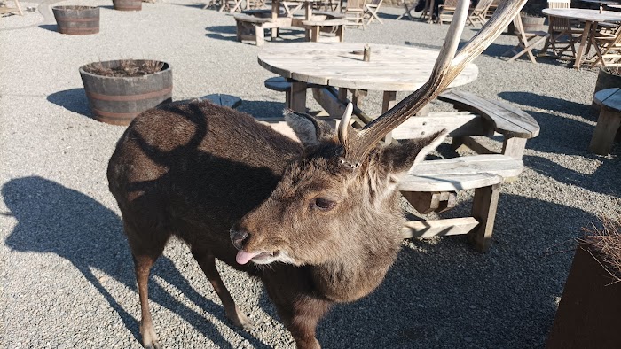 1771908673 536 photo