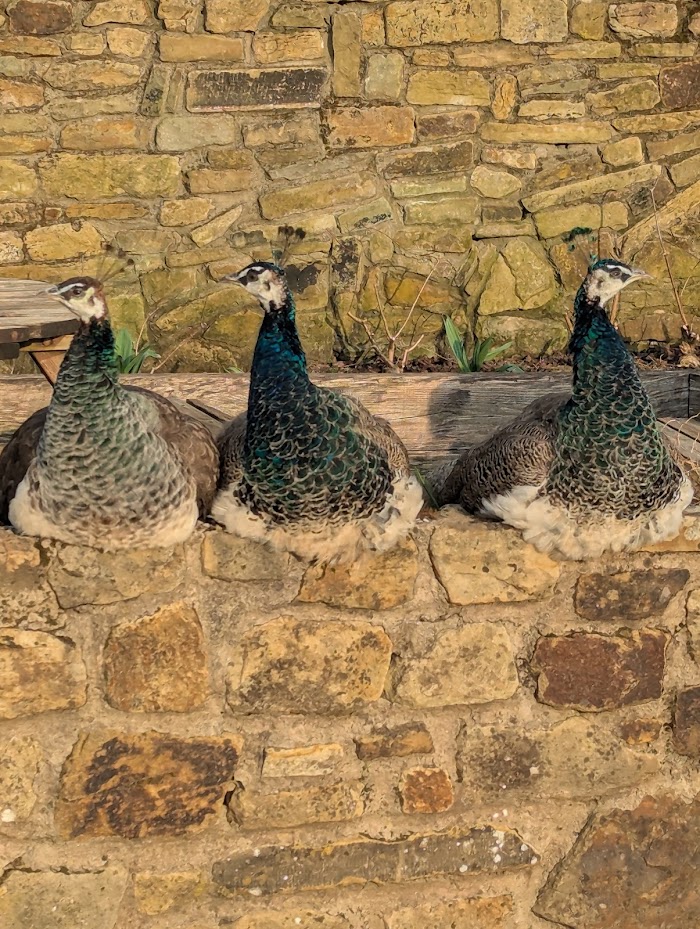 1771908674 614 photo