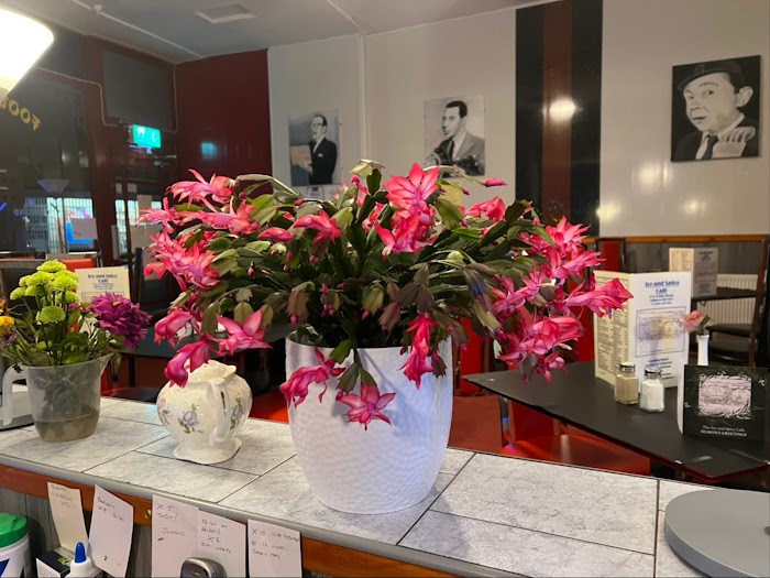 1772126097 147 photo