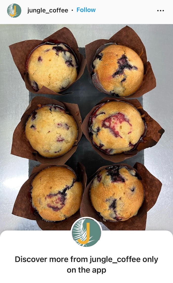 1772169331 352 photo