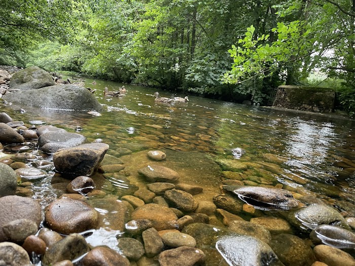 1772299381 206 photo