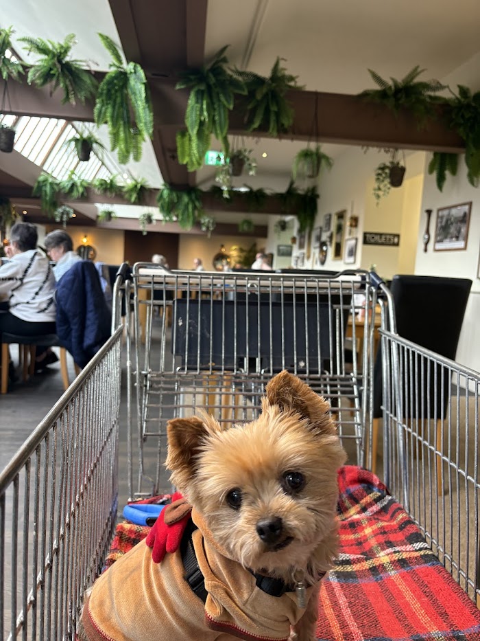 1772385880 153 photo