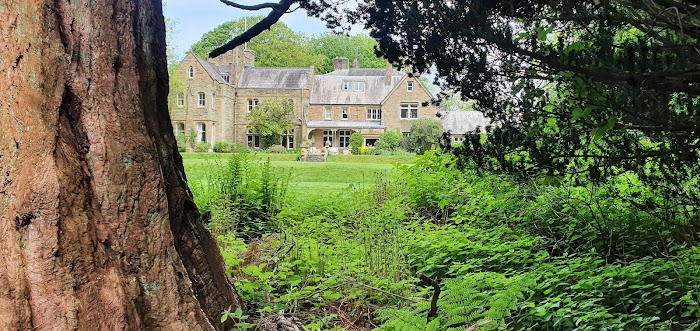 1772646365 189 photo