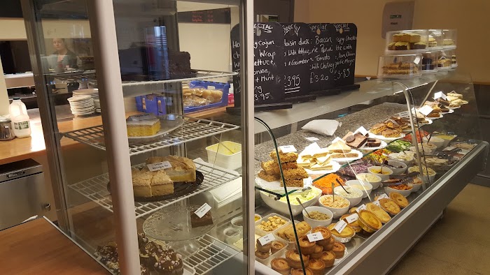 1772689845 993 photo