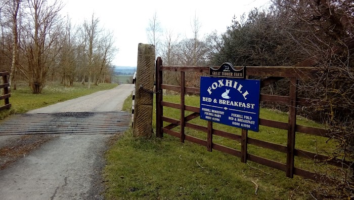 1772746096 314 photo