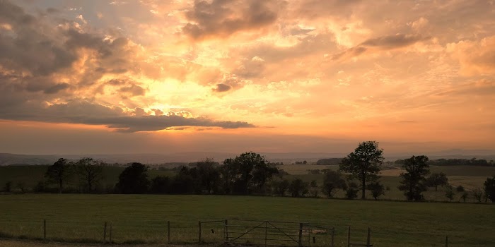 1772746096 343 photo