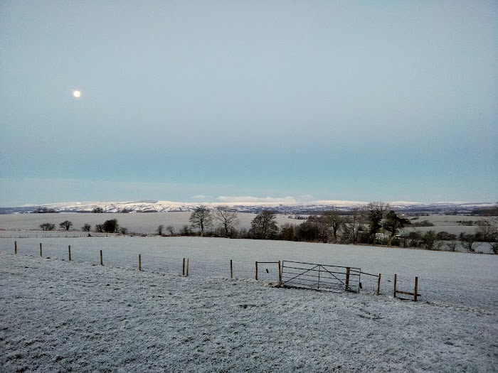 1772746096 458 photo