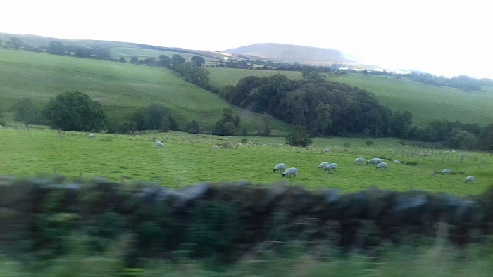 1772746097 628 photo