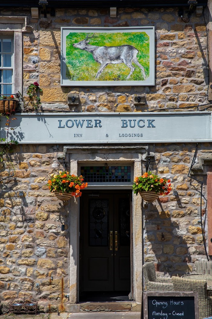 1772746099 295 photo