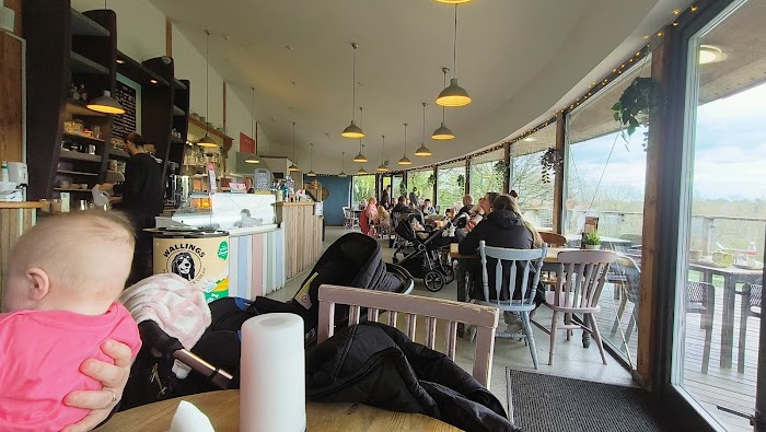 Cuerden View Cafe 9 1772863727 489 photo