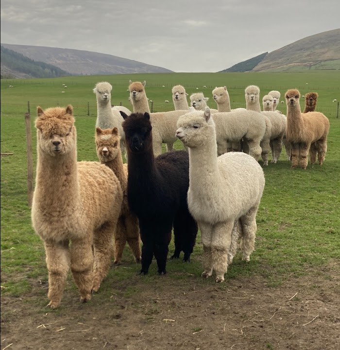 1772919824 569 photo