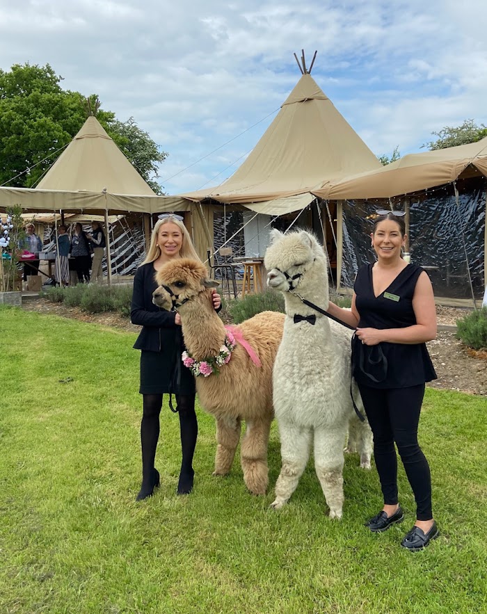 1772919824 655 photo