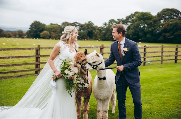 1772919825 923 photo