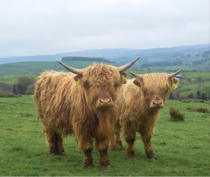 1772919827 528 photo