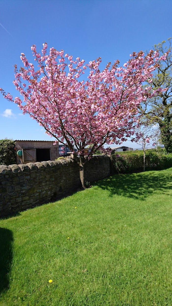 1772963073 445 photo