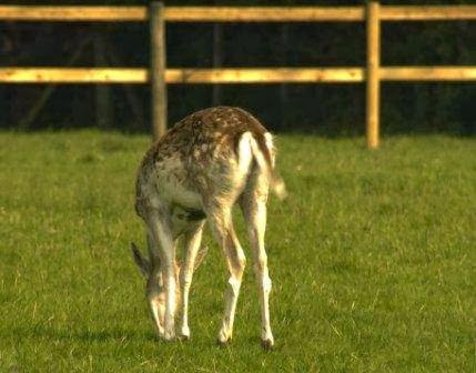 1772963073 769 photo