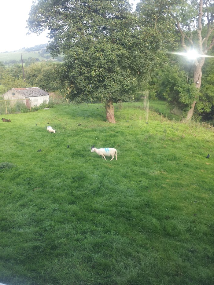 1773006354 802 photo