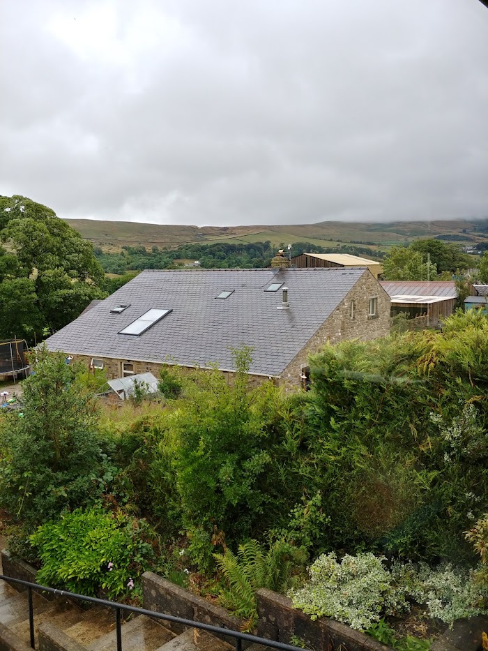 1773006355 917 photo