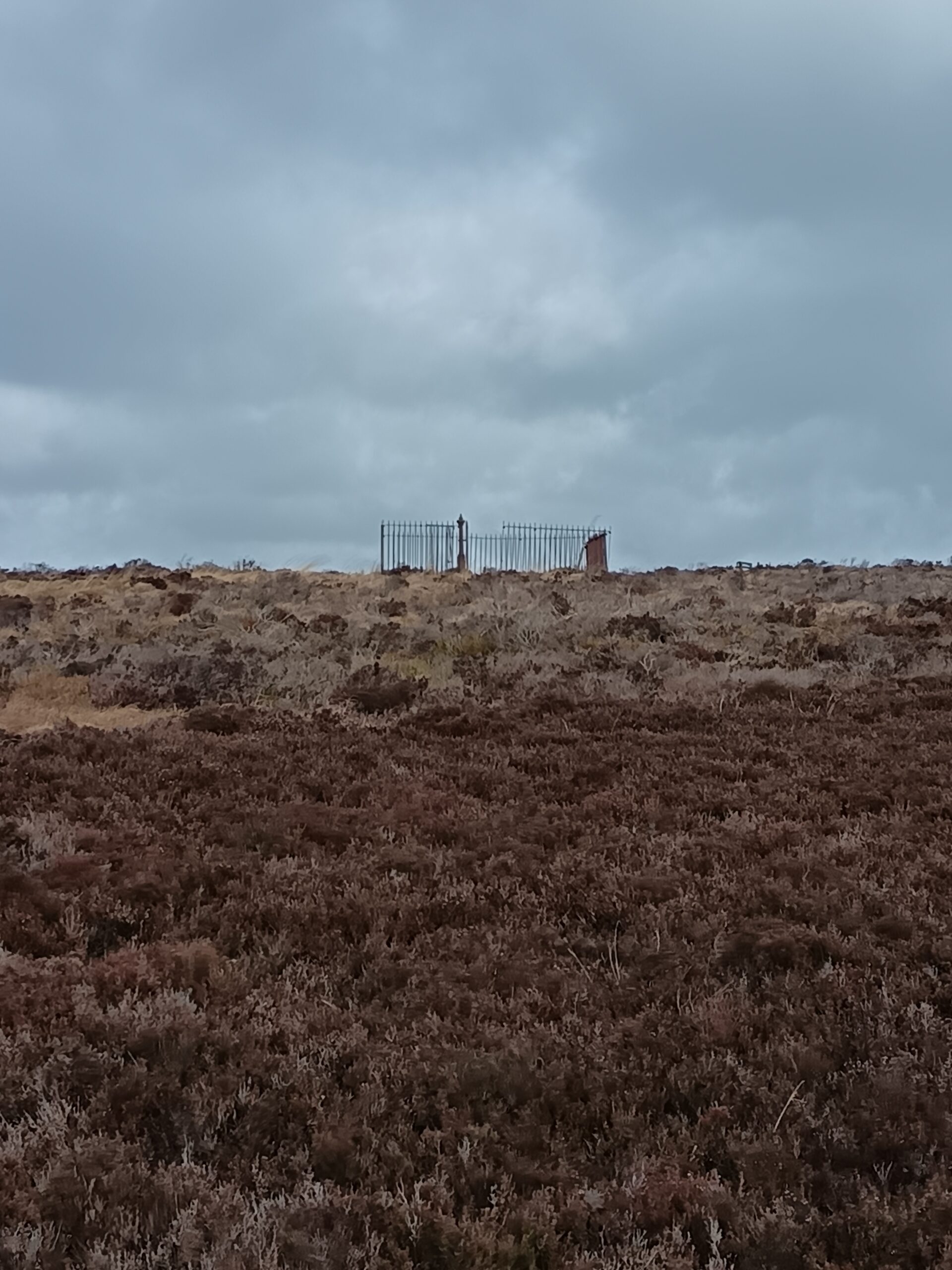 The Iron Enigma: Why is there a Victorian Fence on Jeffrey Hill?