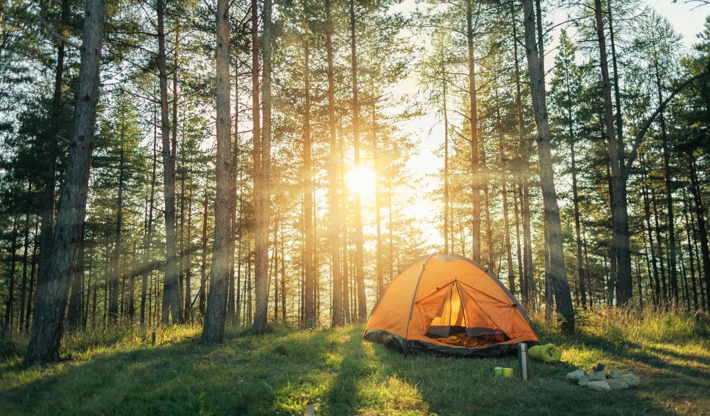 Ribble Valley Camping Essentials